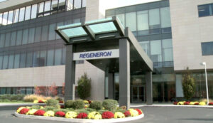 Regeneron Pharmaceuticals anticuerpo COVID-19 VelocImmune